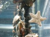 20110901-IMG 6077