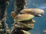 20110901-IMG 6079