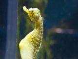 20110901-IMG 6082