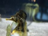 20110901-IMG 6085