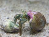 20110901-IMG 6089