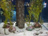20110901-IMG 6091