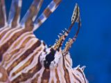 20110901-IMG 6096
