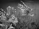 20110901-IMG 6097