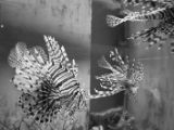 20110901-IMG 6098