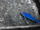 20110901-IMG 6116