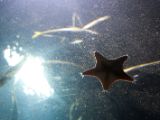 20110901-IMG 6126