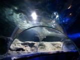 20110901-IMG 6150