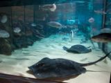 20110901-IMG 6154
