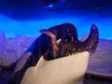 20110901-IMG 6182
