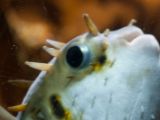 20110901-IMG 6224