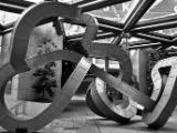 20110902-IMG 6352