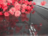 20110902-IMG 6364