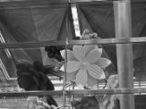 20110902-IMG 6370