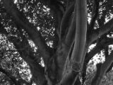 20110902-IMG 6377