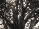 20110902-IMG 6378