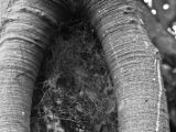 20110902-IMG 6382