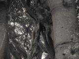 20110902-IMG 6383
