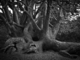20110902-IMG 6389