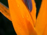 20110902-IMG 6417
