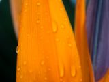 20110902-IMG 6418