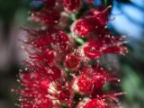 20110902-IMG 6468