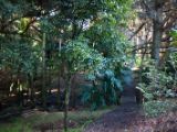20110902-IMG 6477