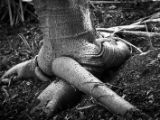 20110902-IMG 6492
