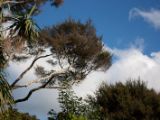 20110902-IMG 6496