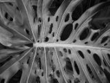 20110902-IMG 6503