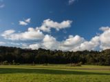 20110902-IMG 6524