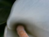 20110902-IMG 6534