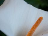 20110902-IMG 6536