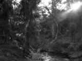 20110902-IMG 6558