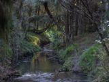 20110902-IMG 6564