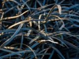 20110902-IMG 6576