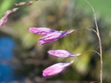 20110902-IMG 6585