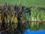 20110902-IMG 6587