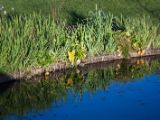 20110902-IMG 6595
