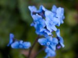 20110902-IMG 6604