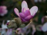 20110902-IMG 6612