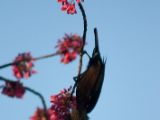 20110902-IMG 6627