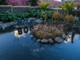 20110902-IMG 6631