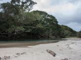 20110903-IMG 6677