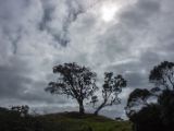 20110903-IMG 6701