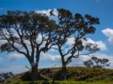 20110903-IMG 6707