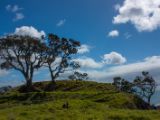 20110903-IMG 6709