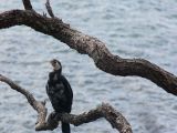 20110903-IMG 6733