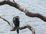 20110903-IMG 6734