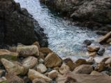20110903-IMG 6757
